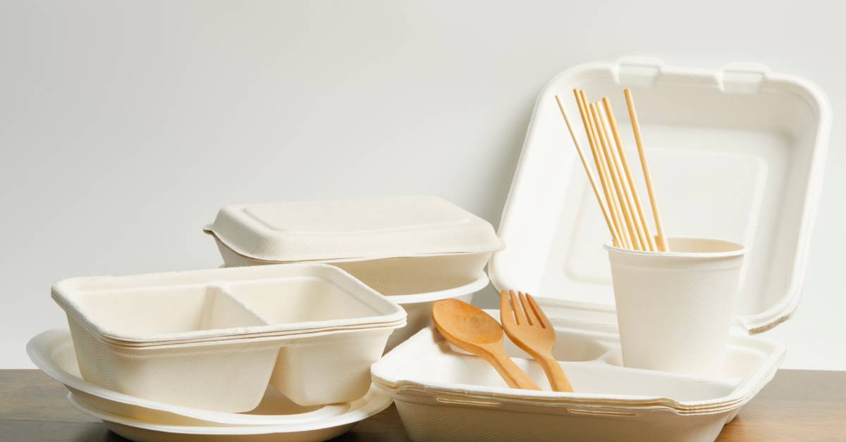 A few sets of eco-friendly disposable food containers, including a cup of chopsticks and bamboo utensils, staged in front of a white wall.