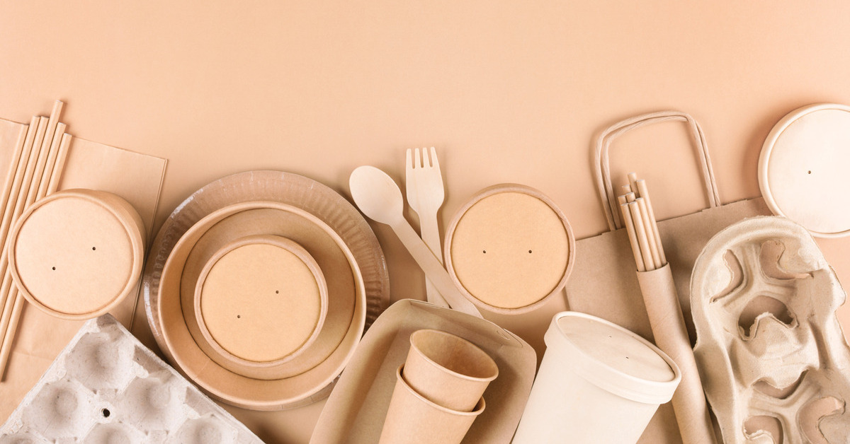 Paper and bamboo utensils, cups, plates, drinking straws, and egg cartons resting on a light brown background.